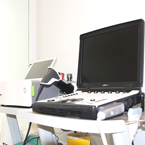 Ecografía Musculoesquelética